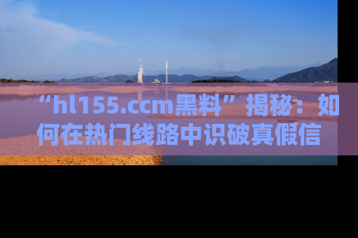 “hl155.ccm黑料”揭秘：如何在热门线路中识破真假信息