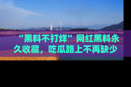 “黑料不打烊”网红黑料永久收藏，吃瓜路上不再缺少惊喜与乐趣