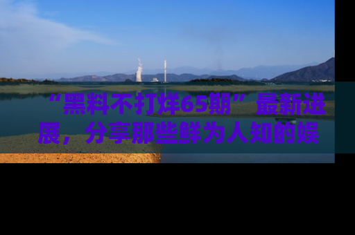 “黑料不打烊65期”最新进展，分享那些鲜为人知的娱乐八卦