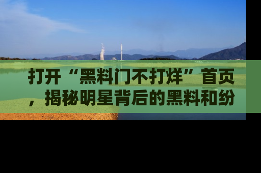 打开“黑料门不打烊”首页，揭秘明星背后的黑料和纷争真相！