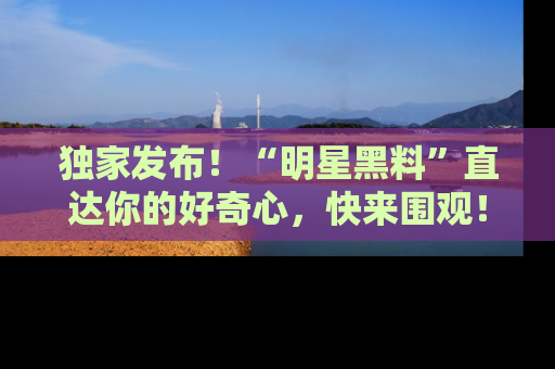 独家发布！“明星黑料”直达你的好奇心，快来围观！