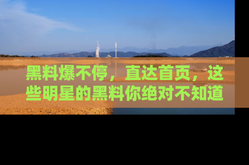 黑料爆不停，直达首页，这些明星的黑料你绝对不知道！