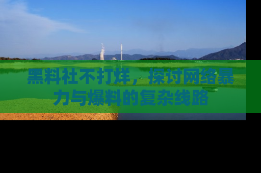 黑料社不打烊，探讨网络暴力与爆料的复杂线路