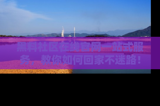 黑料社区在线官网一站式服务，教你如何回家不迷路！