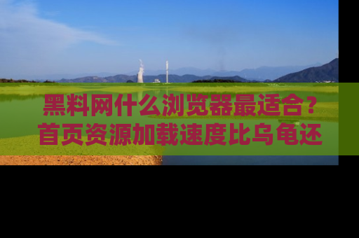 黑料网什么浏览器最适合？首页资源加载速度比乌龟还慢的体验真心吐槽！