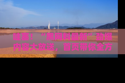 哇塞!“黑网料最新”劲爆内容大放送,首页带你全方位了解哦,小可爱们