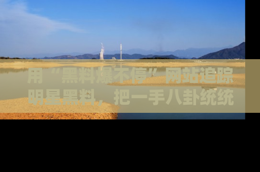 用“黑料爆不停”网站追踪明星黑料，把一手八卦统统收进你的后宫中！