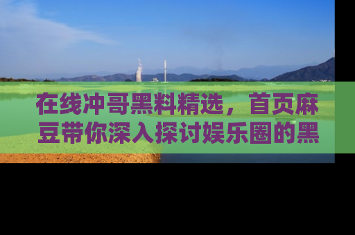 在线冲哥黑料精选，首页麻豆带你深入探讨娱乐圈的黑暗面