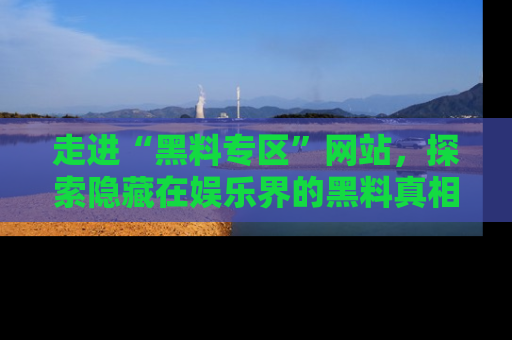 走进“黑料专区”网站,探索隐藏在娱乐界的黑料真相