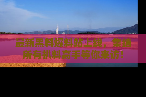 最新黑料爆料站上线,集结所有扒料高手等你来访!