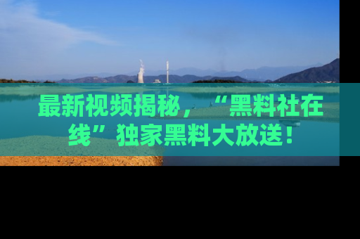 最新视频揭秘,“黑料社在线”独家黑料大放送!